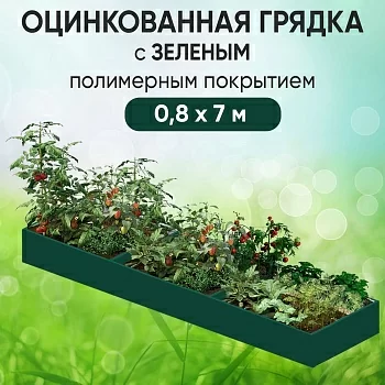 Грядка зеленая (0,8 х 7)